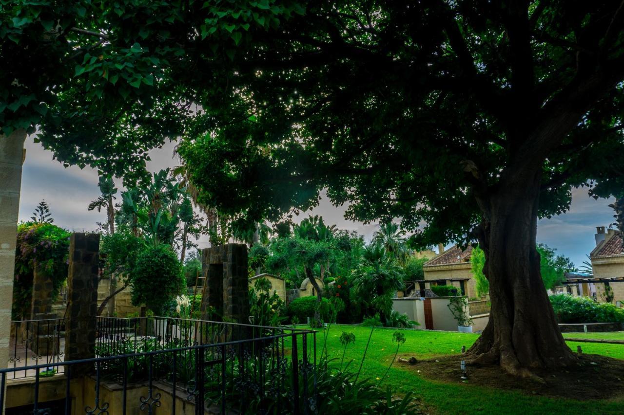 Villa Medina Cefalù Εξωτερικό φωτογραφία